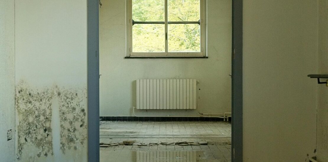 Room with standing water and mold on walls after water damage